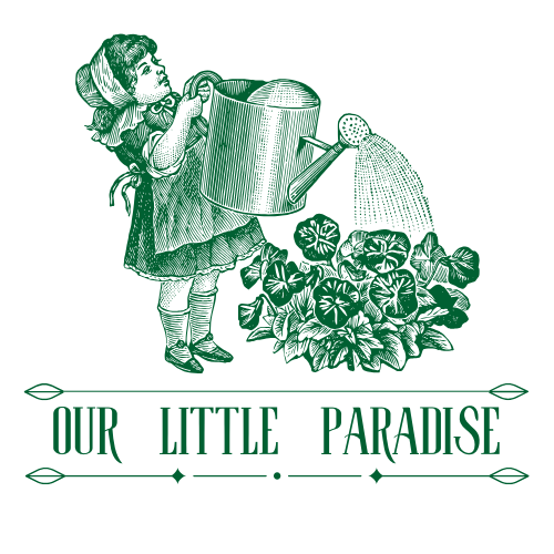 Our Little Paradise